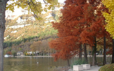 La philatélie dans la ville de Nantua